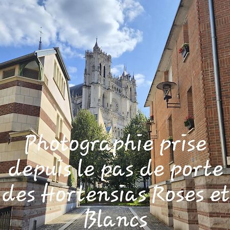 Les Hortensias Blancs Studio Amiens Exterior foto